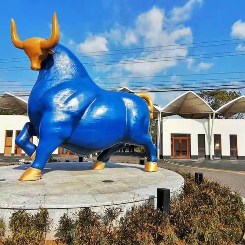 朋友同游小住崇明岛海上花岛民宿