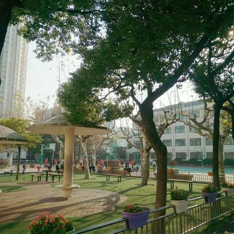 华东师范大学附属小学跟岗培训学习——美术1组小记