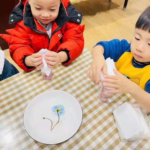旭蕾、育蕾幼儿园十月——科学小实验