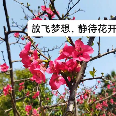 护国镇中心小学经纬堂2017级2班“六一儿童节”暨毕业联欢会