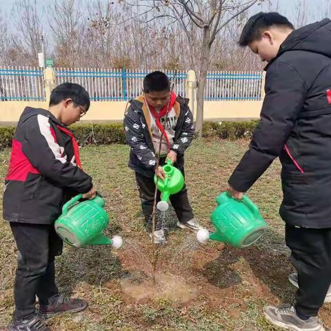 春风送暖绿入神州 —金斗营小学师生开展植树活动