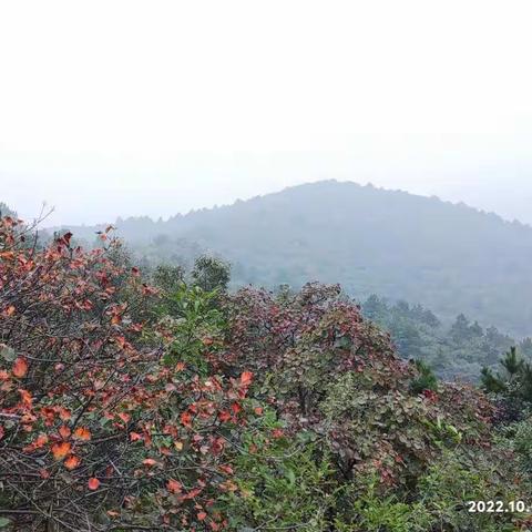 荻池岭秋色