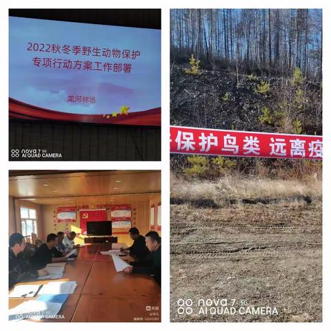 龙河林场落实保护野生动物专项行动工作会议