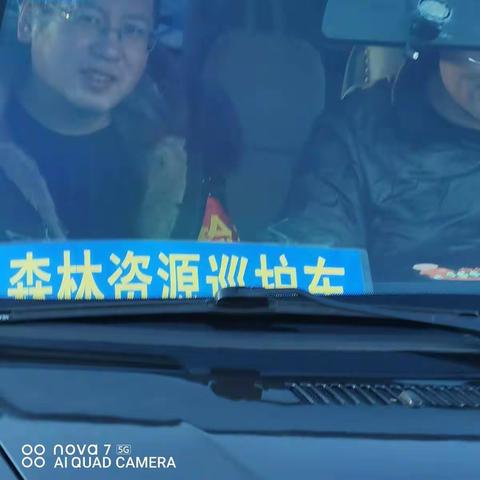 龙河林场，保护兴安野生杜鹃，我们在行动。