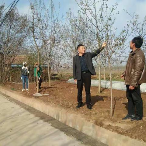 中巷村开展“植树添绿，共同抗疫”主题党日活动