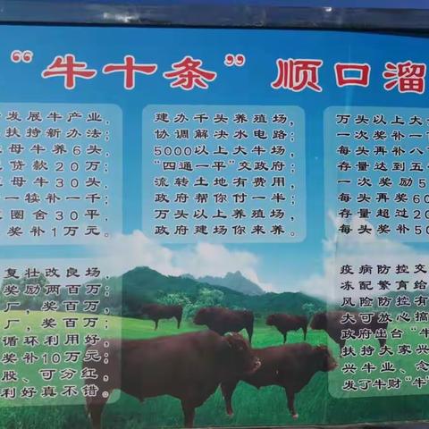 中巷村“牛人”“牛事”