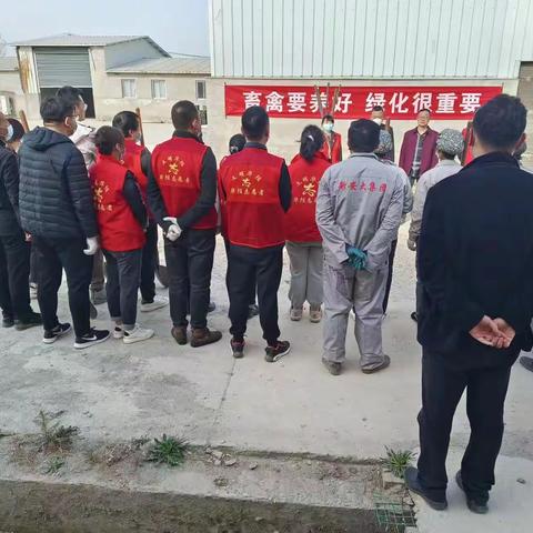 畜禽要养好   绿化很重要    我们在行动