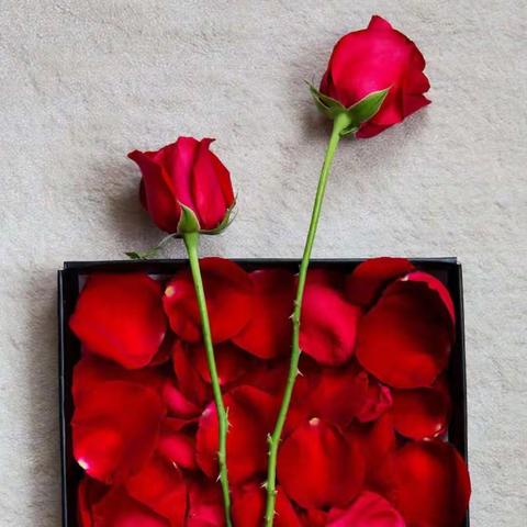 有人惦记，这是一种幸福