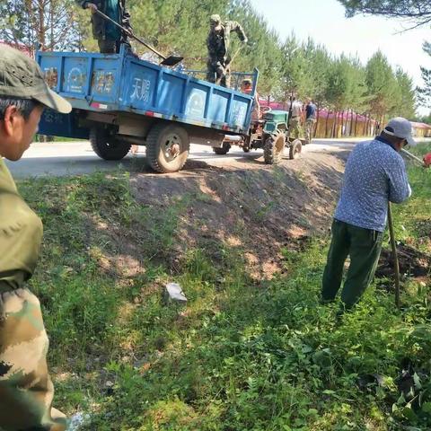 龙河管护区的志愿者都干了啥