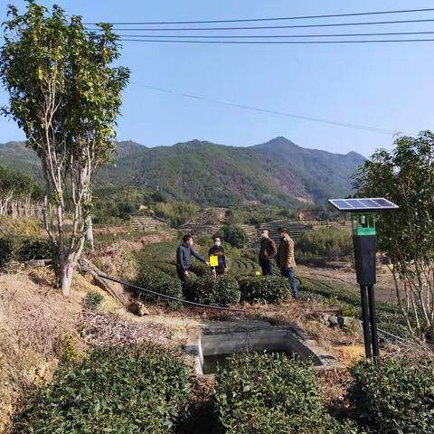 尤溪:积极推进2020年度优质农产品标准化示范基地建设（茶叶）项目实施