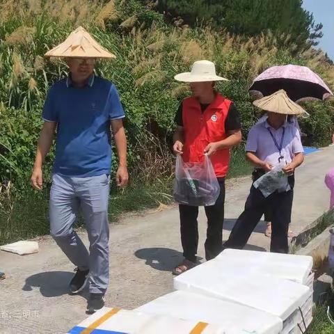 尤溪开展2022年第三次省级农产品质量安全监督抽查工作