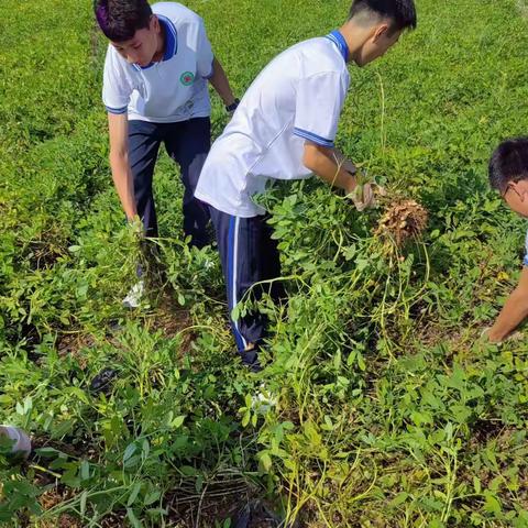 “劳动励心智，爱心塑品格”—9月13日初一八班实践活动