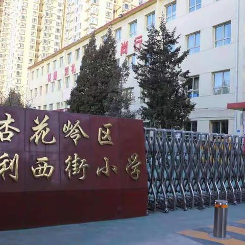 聚焦大单元教学，助推新课标学习