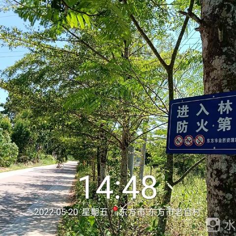 森林防火，是我的家园要爱护，人人有责。