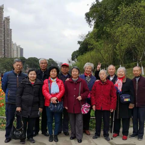 永远的同学情——荣县二中高60级二班部分同学在成都《望江公园》聚会记实！