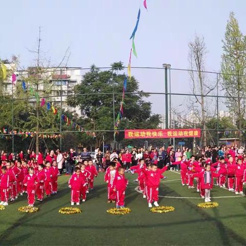 成都金宝宝幼稚园——不忘初心与善良
