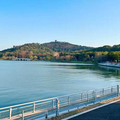 二泉情思（琴丝）长