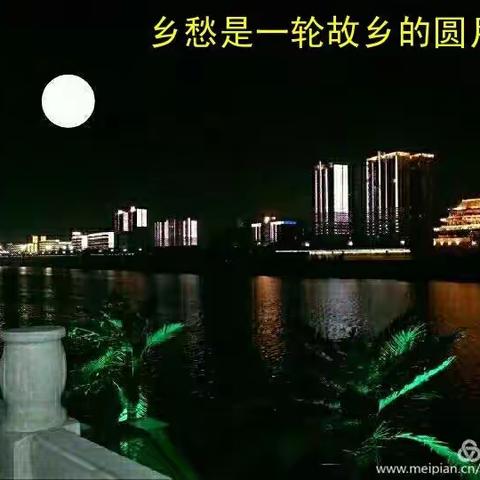 情撒流年