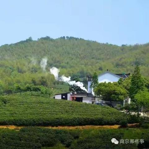 故乡那缕炊烟……