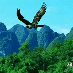 青山在人未老，秋之声合唱团相册(上)
