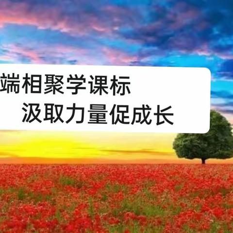 云端相聚学课标　　汲取力量促成长         ——五一小学学线上新课标培训纪实