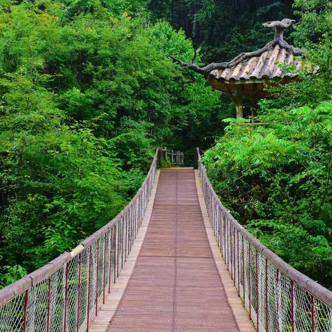 徒步峨边黑竹沟D——石门关