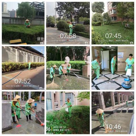银典物业·盛世长安服务处8月第二周工作报告