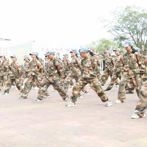 2023秋季坡头区中小学生实践教育基地第十期（坡头二中）综合实践教育篇