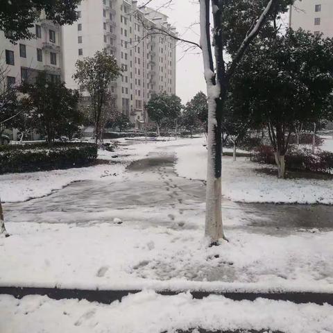 下雪啦，2018年的第一场雪