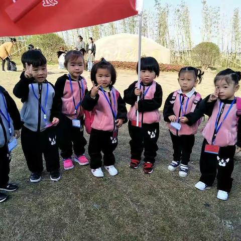 秋游，灿烂了每一张稚嫩的脸