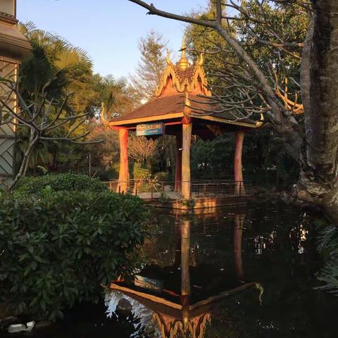 七彩云南之旅之六（2018.2.24）-滨江公园