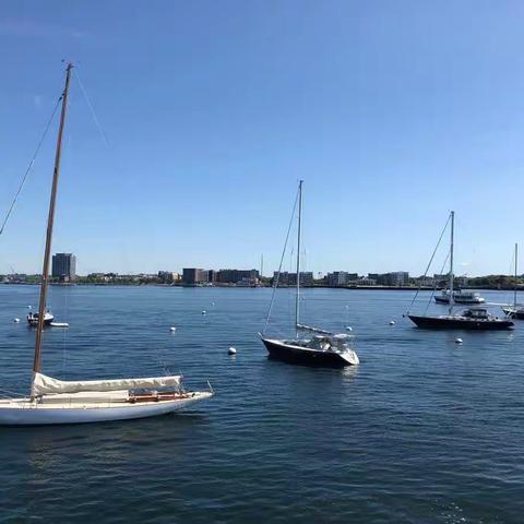 美国之行（8）（2019年6月4日）