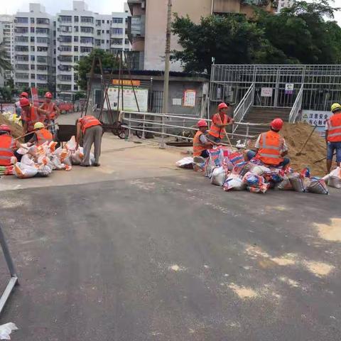 龙华区大同沟、东西湖水体巡查日记