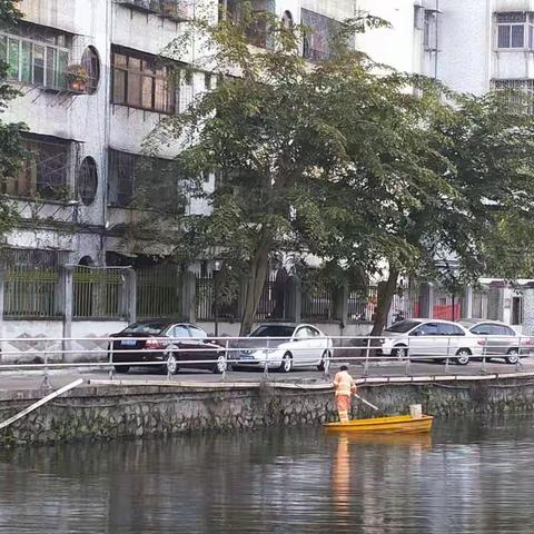 龙华区水体巡查汇报