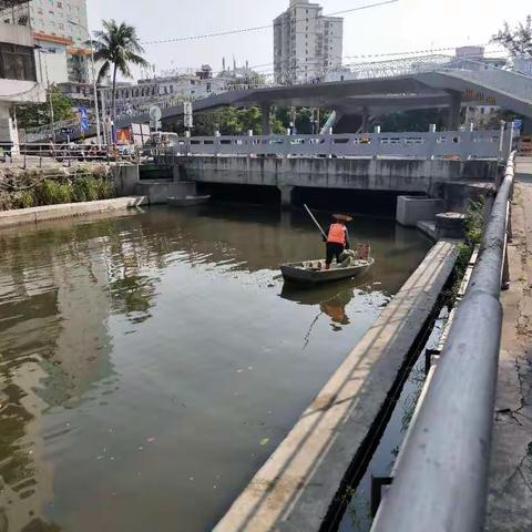 龙华区水体巡查汇报