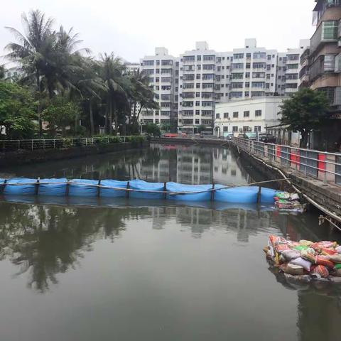 龙华区水体大同沟巡查日记