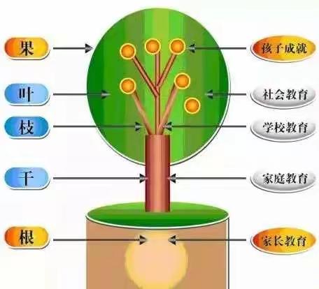 教育改革从家长教育开始，有心的家长都看看❤️