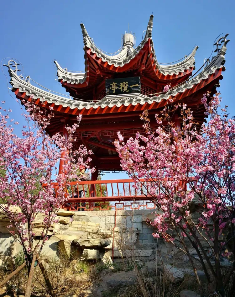 名亭陶然 海棠依旧