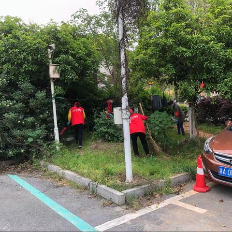 洁净雨花  家园大清理