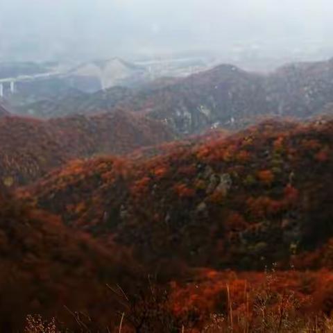 穿越巍巍太行山脉，在高山之巅，层林尽染，看万山红遍！—— 蓝峰