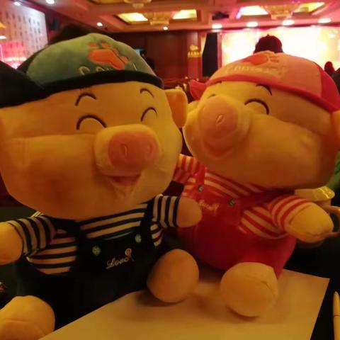 2019年1月27月参加北京丰台区女企业家年会