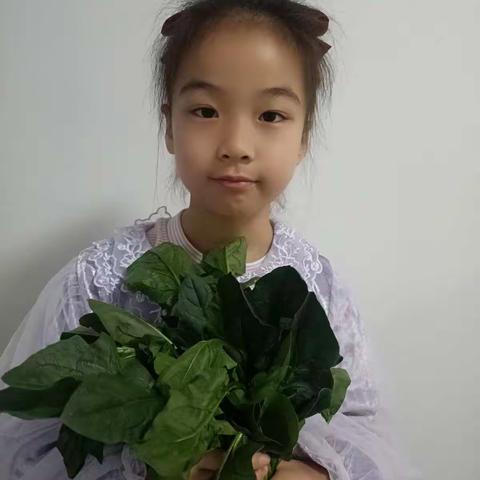 冒泡的菠菜