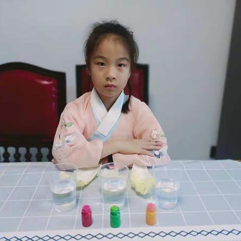 彩色的白菜