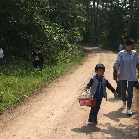 野草莓，我们来啦