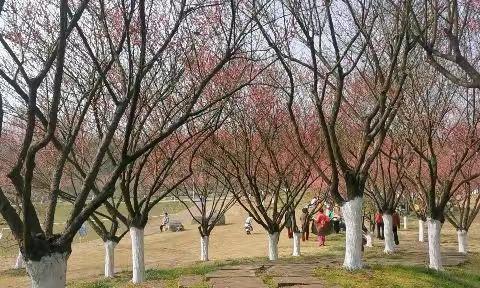 都江堰大观镇问花村与相邻的崇州市“街子古镇”