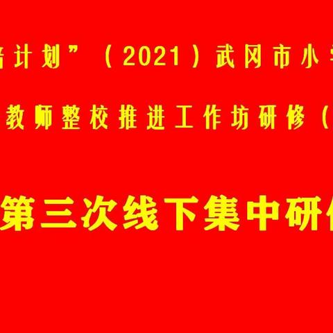 “国培计划”（2021）武冈市小学数学骨干教师工作坊（C1004）