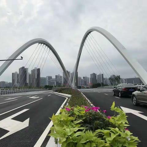 宝安前海十一号桥通车