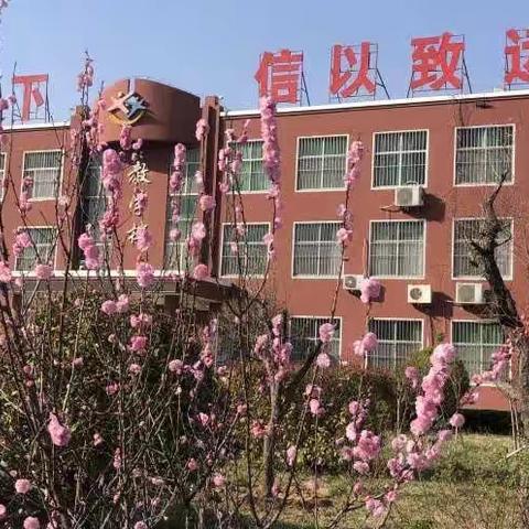 春风徐来，"语"你同行~向城镇中心小学一年级语文集体备课