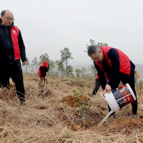 湘中幼儿师范高等专科学校在五花村开展义务植树活动