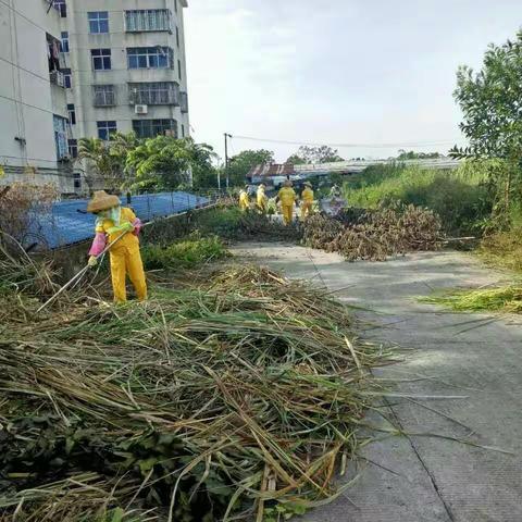 “一创五建”工作-市环卫局第一环卫队